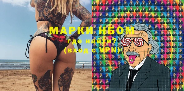 гидра Болотное