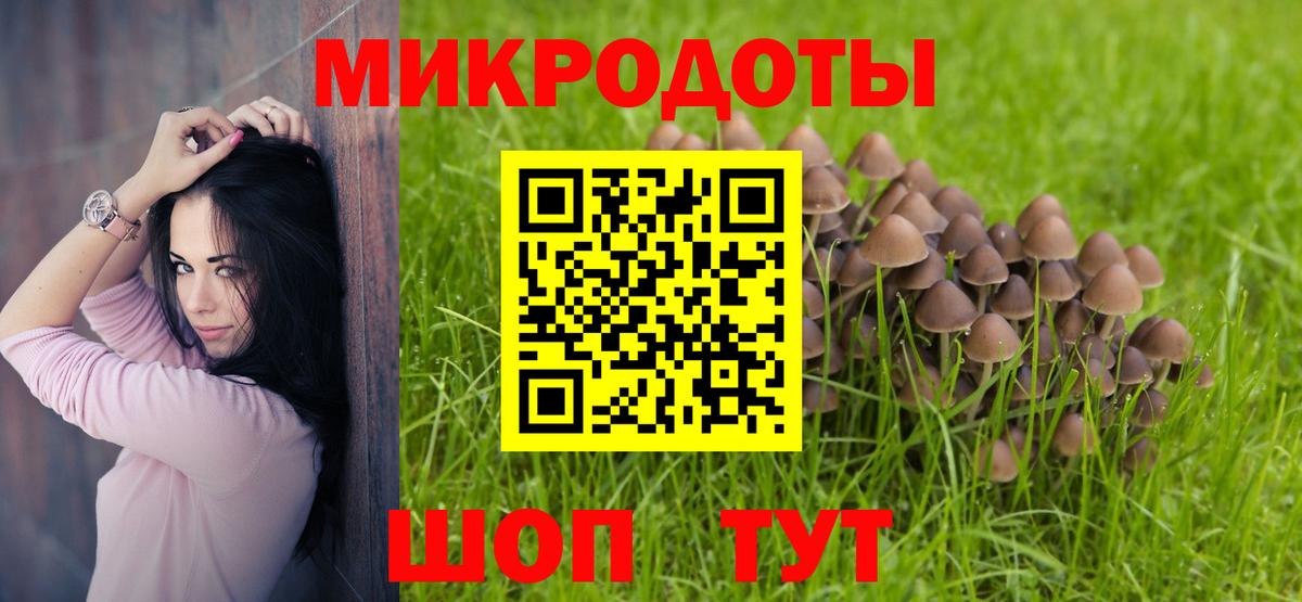 Асино  Галлюциногенные грибы Psilocybine cubensis  Вход с VPN 