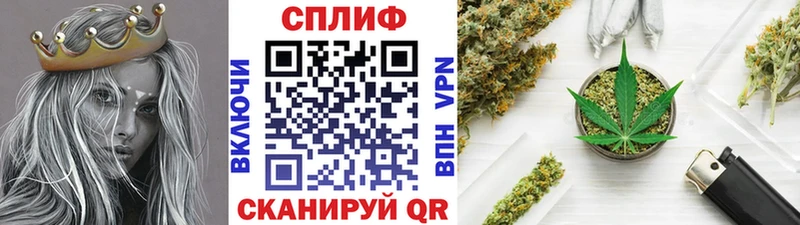 купить наркотики сайты  Асино  МАРИХУАНА ГИДРОПОН 