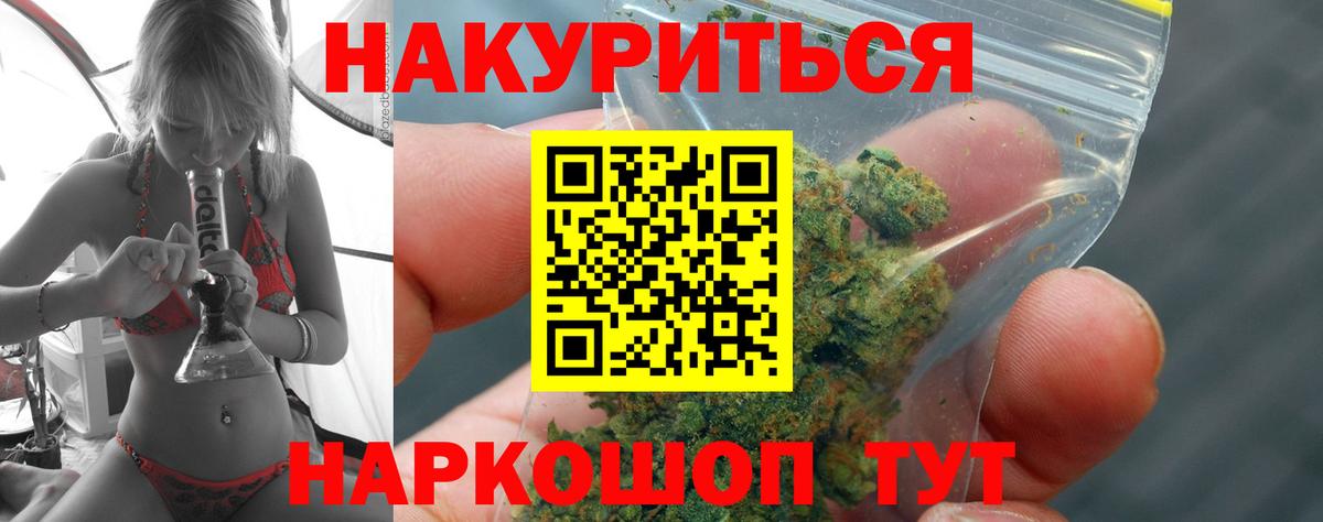 Конопля сатива Асино