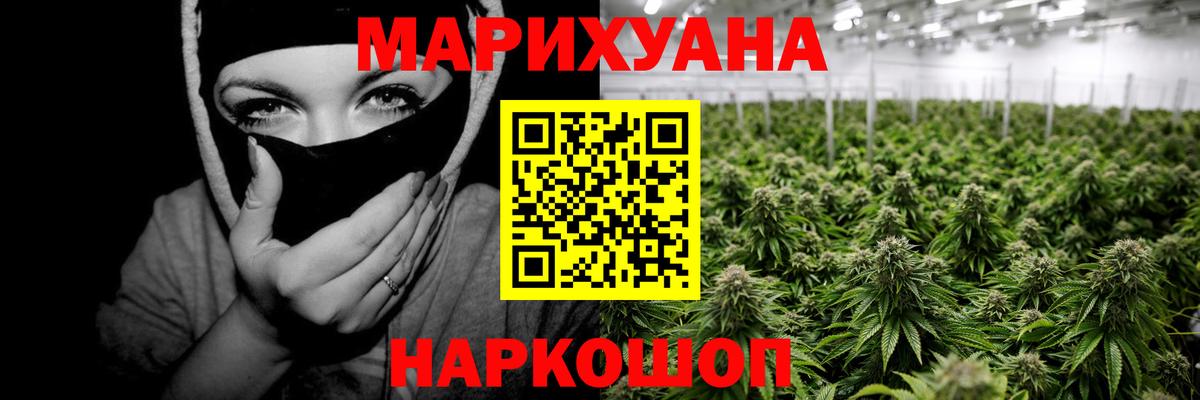 МАРИХУАНА гибрид  Асино  Каннабис SATIVA & INDICA 